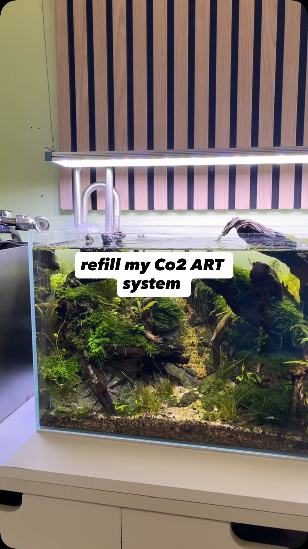 Instagram post by @jj.scaping.a
